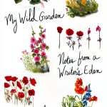 Jewish Literary Criticism Kindle Schocken eBook-0